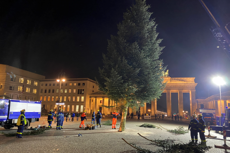 Weihnachtsbaum Brandenburger Tor